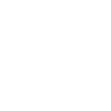 Zenith Performance
